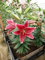 [5630 VH60 No01.JPG]